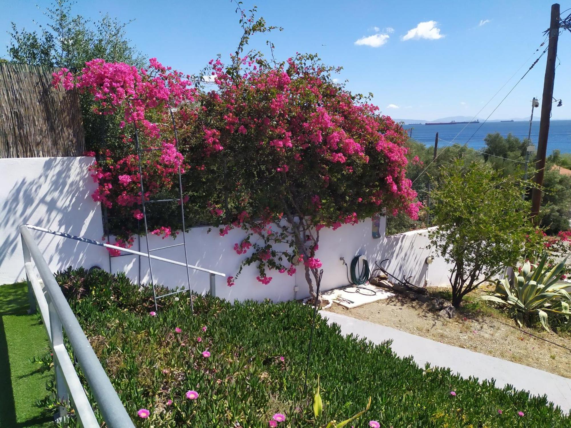 Thalassa Panayía Extérieur photo